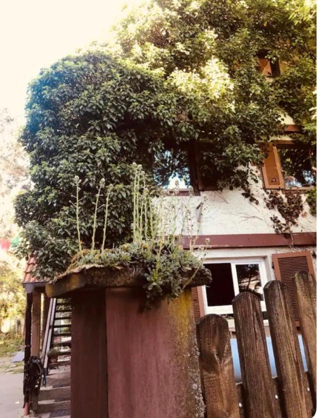 Apartment Auf Einem Ehemaligen Bauernhof Neuhausen (Baden-Wurttemberg)
